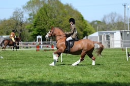 M19_0577 2026