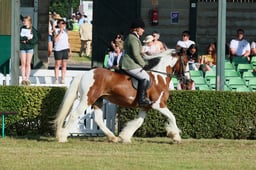 S61_0094 2026