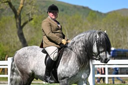 56 M&M Open Ridden Fell Dales High