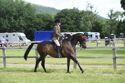 Hereford Ring A