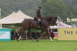 S37_6423 2026
