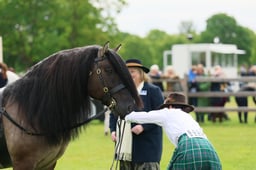 S29_0663 2026