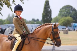 106B Show Hunter Pony 133cm