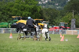 HS250 SCURRY CHAMPIONSHIP