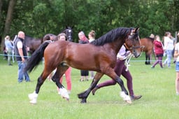 J36_7025 2026
