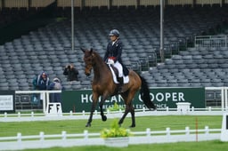 C22_7175 2026