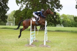 473 MR FURY