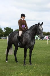 E36_0605 2026