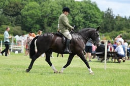H36_8034 2026
