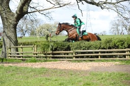D14_6889 2026