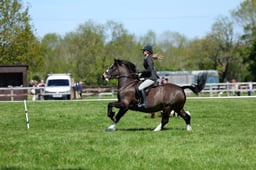 M19_0476 2026