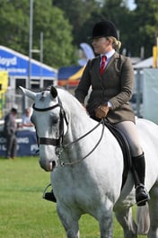 A68_0795 2026