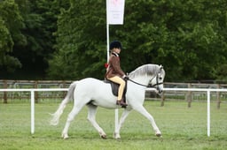 E30_4473 2026