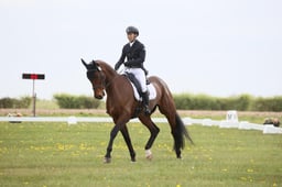 30 SWIPER JRA