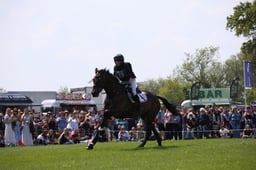 H24_0602 2026
