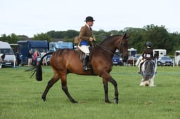 E36_0096 2026