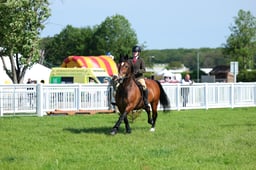 F33_0285 2026