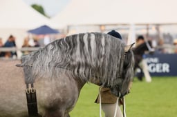 S29_0482 2026
