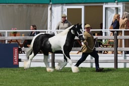 S28_8387 2026