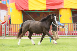 E34_2853 2026