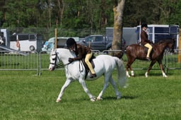 116 RIHS M&M Welsh A & B