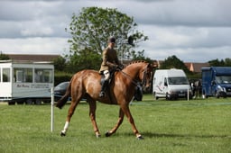 E36_0675 2026
