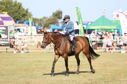 U60_0363 2026