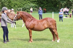 J36_6186 2026