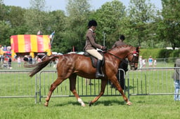 C33_1290 2026