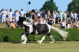 S61_0524 2026