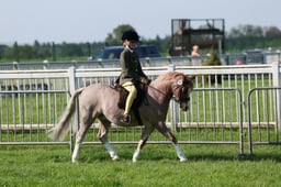 C33_0474 2026