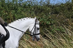 S60_0354 2026