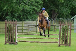 CLH216 RoR Retrained Racehorse Challenge