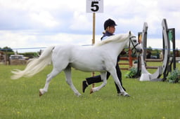 J36_6145 2026