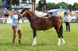 E69_0922 2026