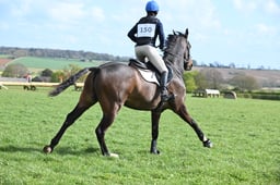 A13_2294 2026