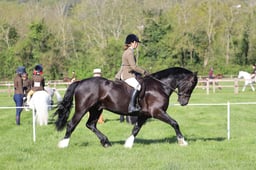 C19_0419 2026