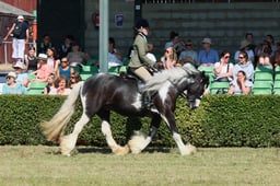 S61_0681 2026