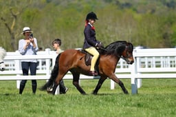H19_0642 2026