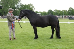 W29_0781 2026