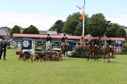 Parade of Champions