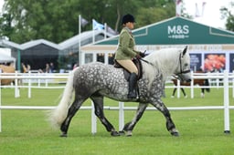 H45_2909 2026