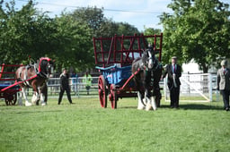D42_3414 2026