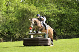 D26_0382 2026