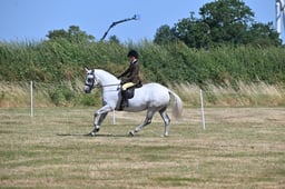S60_0545 2026