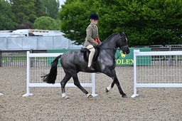 A30_2051 2026