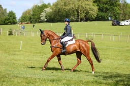 Inter Novice