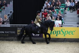 M&M JNR Ridden Pony of the Year Large Breeds