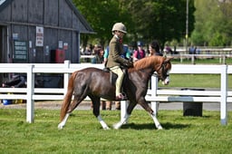 A19_2658 2026