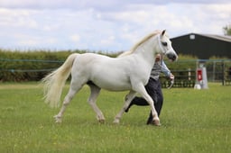 J36_7134 2026